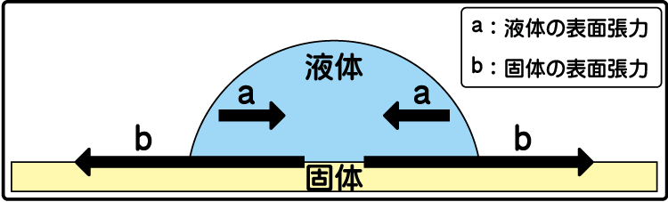 表面張力とは何ですか？